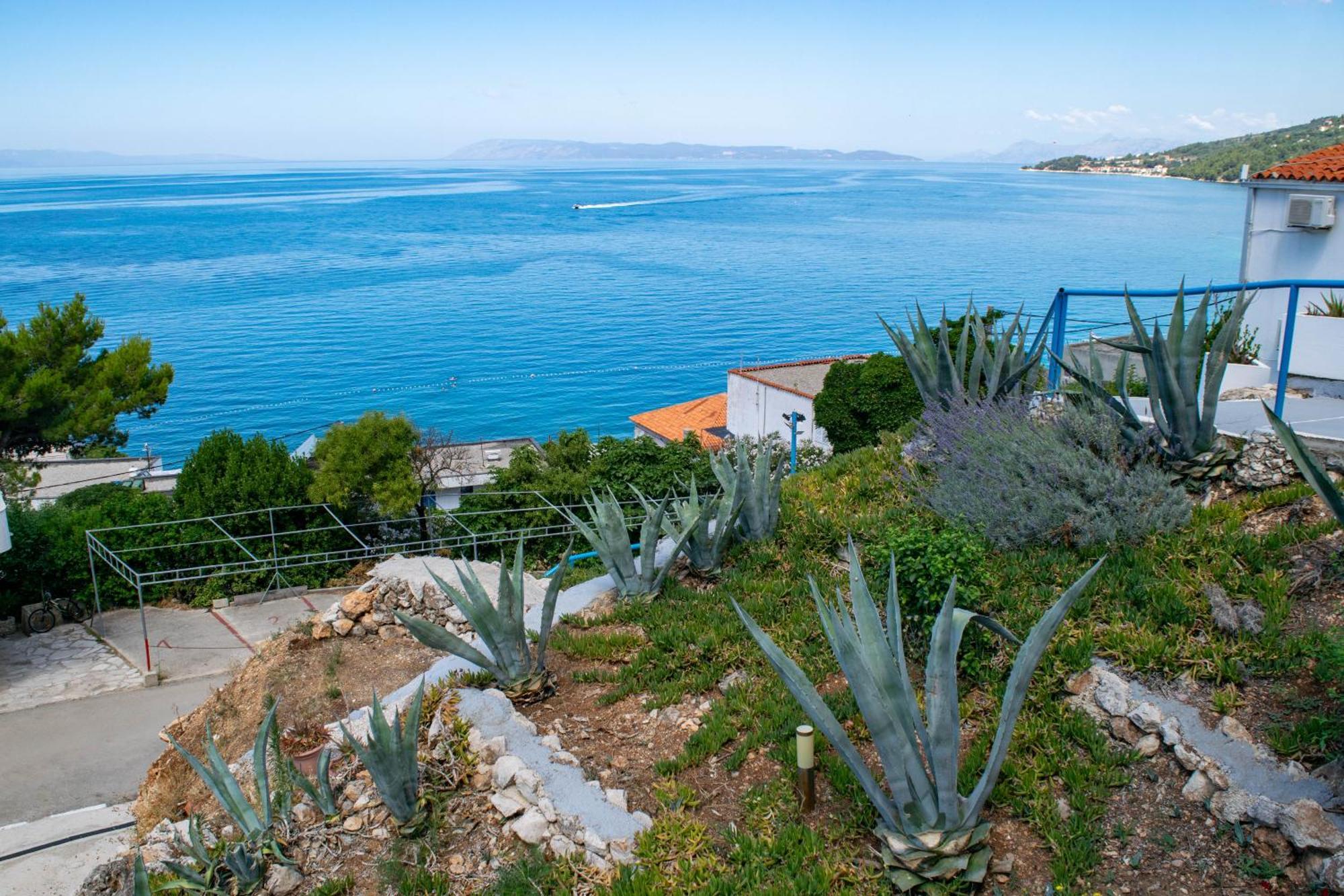 Beach Hotel Drašnice Eksteriør billede